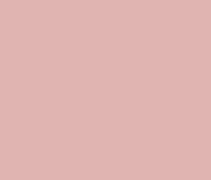 Silk soft blush powder