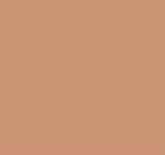 Silk soft blush powder